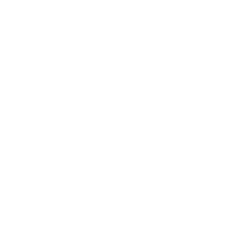 shine-2.png